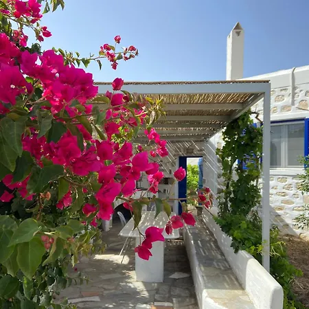 - Traditional House 安倍拉斯