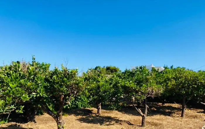 - Traditional House Сasa de vacaciones *