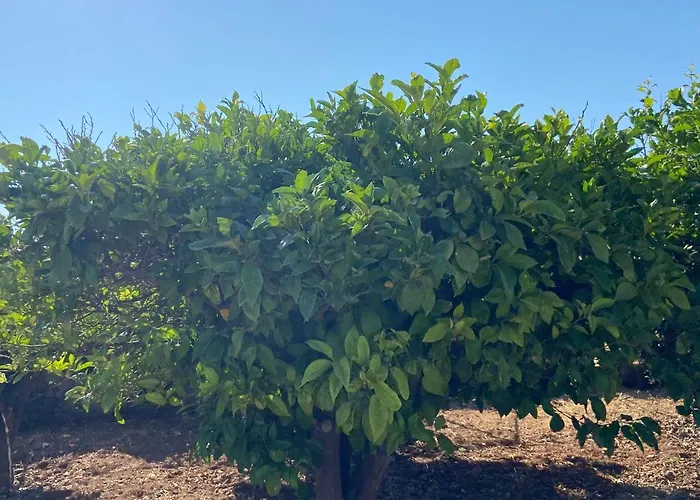 Сasa de vacaciones - Traditional House