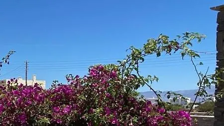 - Traditional House אמבלאס