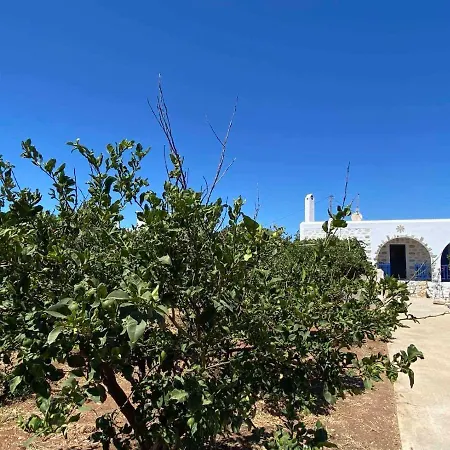 - Traditional House