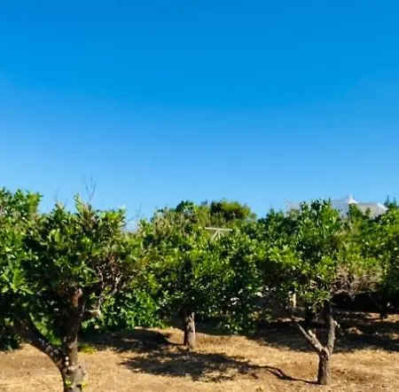 - Traditional House בית נופש *