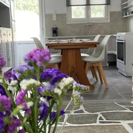 Tatil Evi - Traditional House
