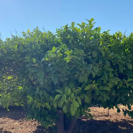 בית נופש - Traditional House