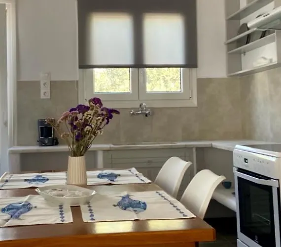 - Traditional House Ferienhaus *